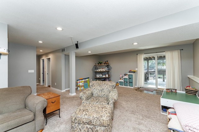 2 Lillie Ln SE, Pine Island, MN 55963 - carpeted living area featuring recessed lighting