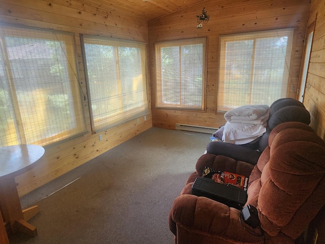 113 2nd St SW, Wadena, MN 56482 - photo 8