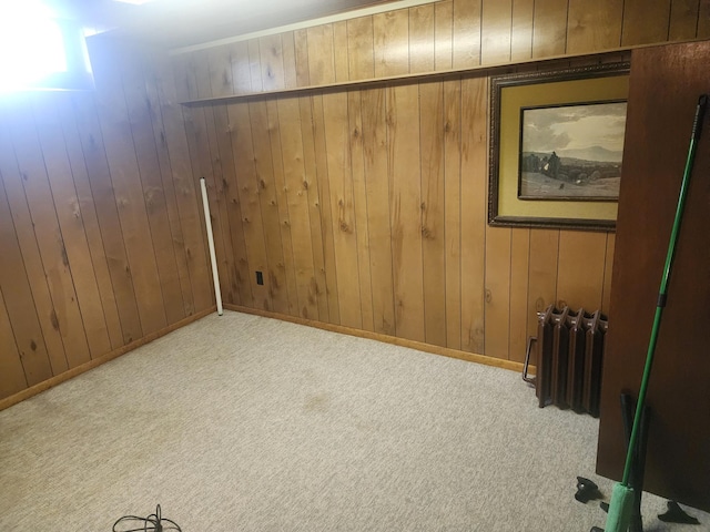 113 2nd St SW, Wadena, MN 56482 - photo 12