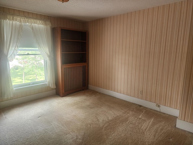 113 2nd St SW, Wadena, MN 56482 - photo 5