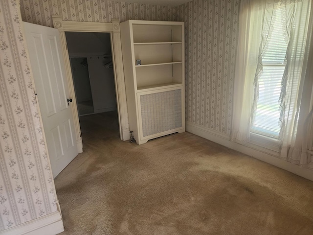 113 2nd St SW, Wadena, MN 56482 - photo 10