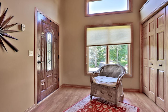 6 Pleasant View Ln, Circle Pines, MN 55014 - entrance foyer featuring light wood-style floors and healthy amount of natural light