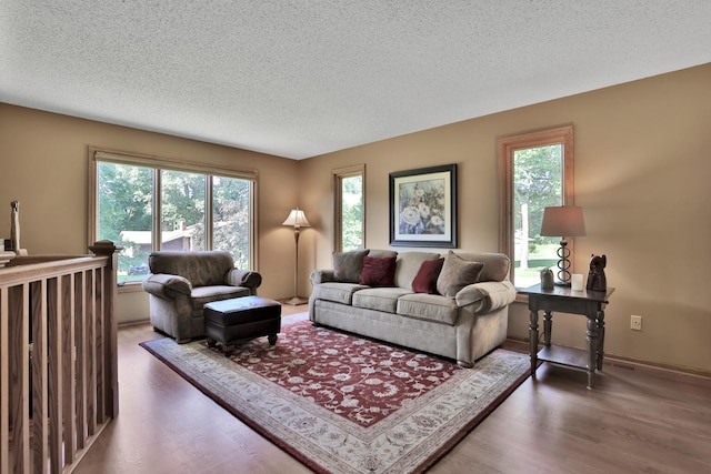 6 Pleasant View Ln, Circle Pines, MN 55014 - living area featuring a textured ceiling, healthy amount of natural light, and wood finished floors