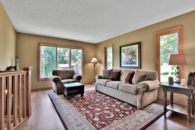6 Pleasant View Ln, Circle Pines, MN 55014 - living area with a textured ceiling and wood finished floors