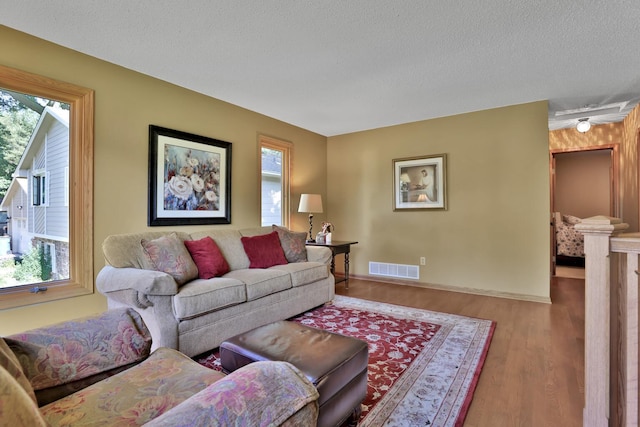 6 Pleasant View Ln, Circle Pines, MN 55014 - living area featuring wood finished floors and a textured ceiling