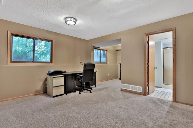 6 Pleasant View Ln, Circle Pines, MN 55014 - home office with light colored carpet and a textured ceiling