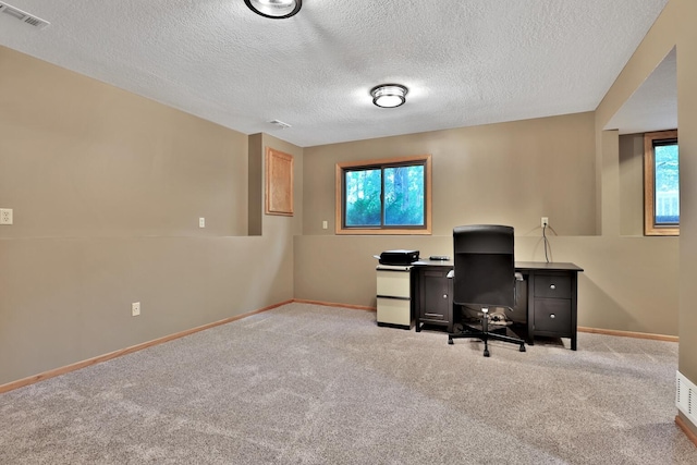 6 Pleasant View Ln, Circle Pines, MN 55014 - carpeted office space with a textured ceiling