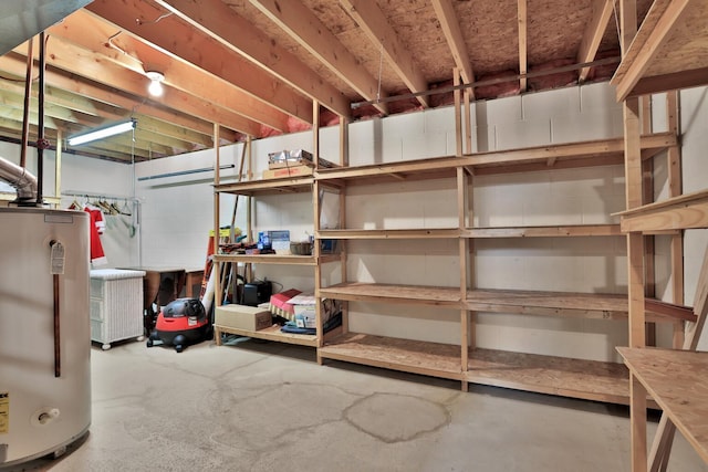 6 Pleasant View Ln, Circle Pines, MN 55014 - storage with water heater