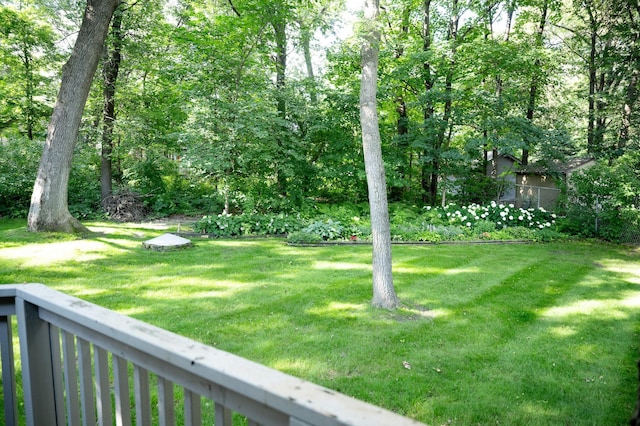 6 Pleasant View Ln, Circle Pines, MN 55014 - view of yard