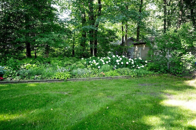 6 Pleasant View Ln, Circle Pines, MN 55014 - view of yard