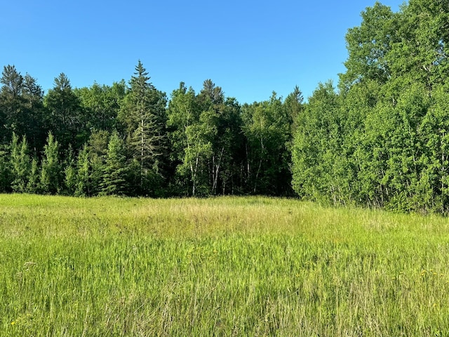 5159 Rocky Ridge Rd NW, Hackensack, MN 56452 - photo 4