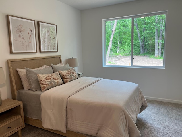 bedroom featuring carpet flooring and multiple windows