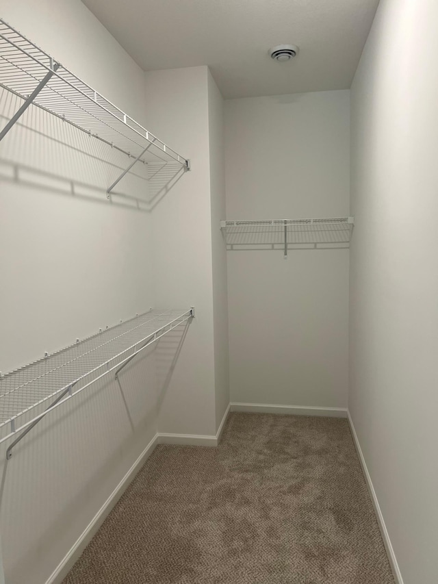 walk in closet featuring carpet