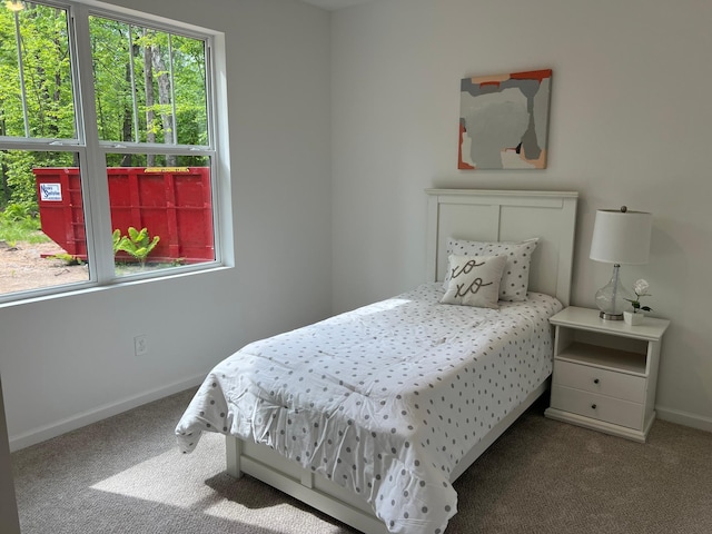 carpeted bedroom with multiple windows