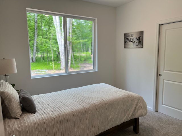 bedroom featuring carpet flooring