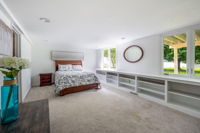 11385 65th Pl N, Maple Grove, MN 55369 - photo 48
