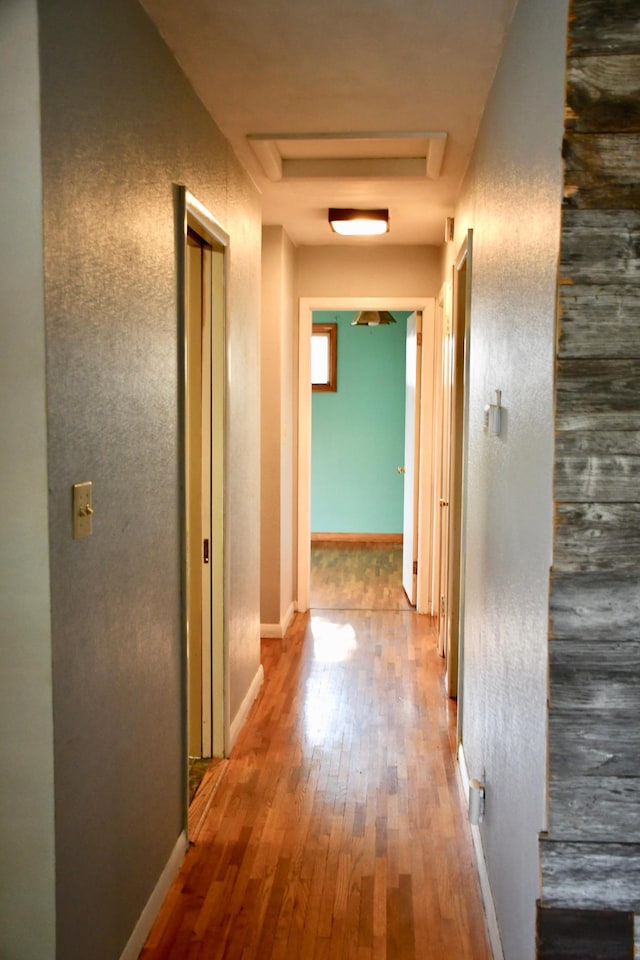 308 Maple Ave S, Thief River Falls, MN 56701 - hall featuring hardwood / wood-style flooring