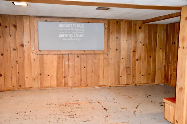 308 Maple Ave S, Thief River Falls, MN 56701 - finished basement featuring wooden walls