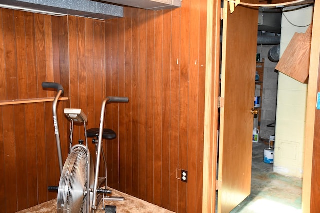 308 Maple Ave S, Thief River Falls, MN 56701 - detailed view of wood walls and concrete flooring
