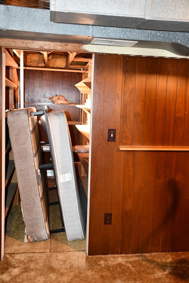 308 Maple Ave S, Thief River Falls, MN 56701 - below grade area with carpet and wooden walls