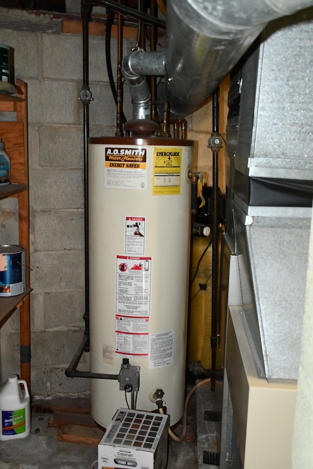 308 Maple Ave S, Thief River Falls, MN 56701 - utility room featuring gas water heater