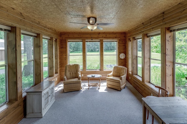 13278 Deer Wood Trl, Crosslake, MN 56442 - photo 12