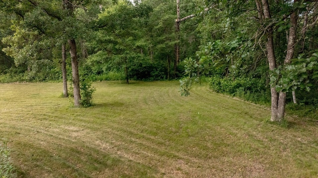 13278 Deer Wood Trl, Crosslake, MN 56442 - photo 45