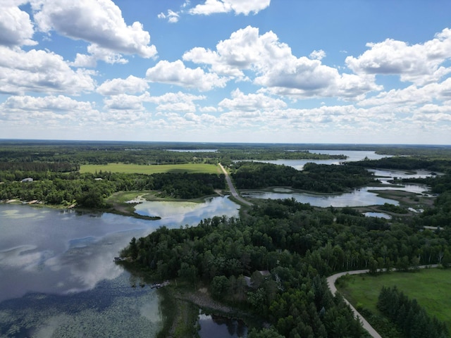 21264 Fair Oaks Dr, Nevis, MN 56467 - photo 27