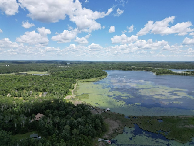 21264 Fair Oaks Dr, Nevis, MN 56467 - photo 28