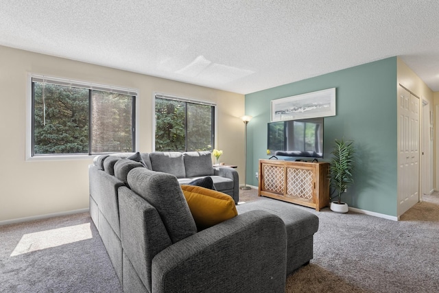 13525 Zenith Ln, Eden Prairie, MN 55346 - living area with carpet flooring and a textured ceiling