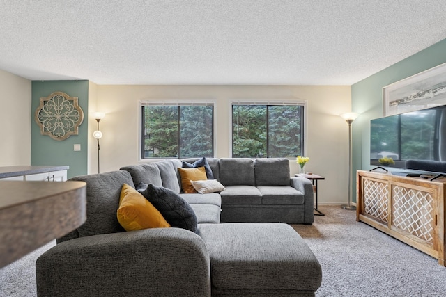 13525 Zenith Ln, Eden Prairie, MN 55346 - living area featuring carpet and a textured ceiling