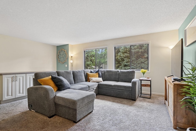 13525 Zenith Ln, Eden Prairie, MN 55346 - carpeted living room with a textured ceiling