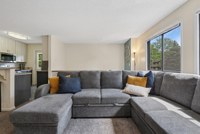 13525 Zenith Ln, Eden Prairie, MN 55346 - carpeted living room featuring plenty of natural light and a textured ceiling