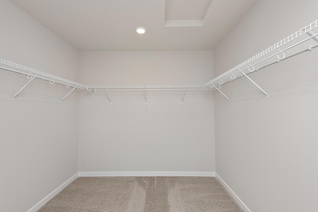 39729 Fallbrook Ave, North Branch, MN 55056 - spacious closet featuring carpet and attic access