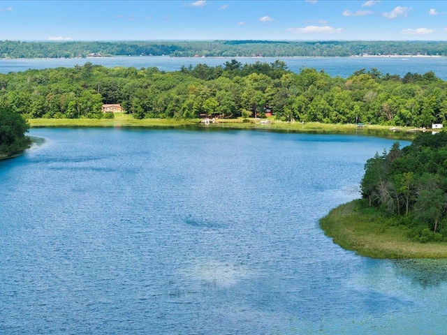 26803 Pelican Beach Rd, Merrifield, MN 56465 - water view featuring a forest