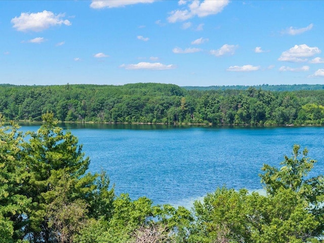 26803 Pelican Beach Rd, Merrifield, MN 56465 - water view featuring a heavily wooded area