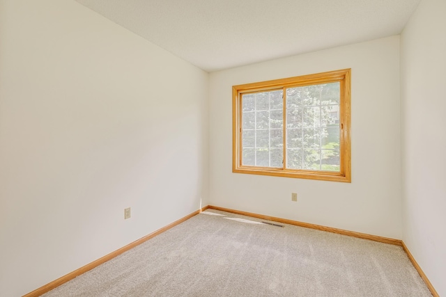 12818 Eastview Curv, Apple Valley, MN 55124 - photo 16