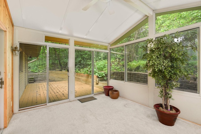 8040 Lea Rd, Bloomington, MN 55438 - unfurnished sunroom featuring a ceiling fan