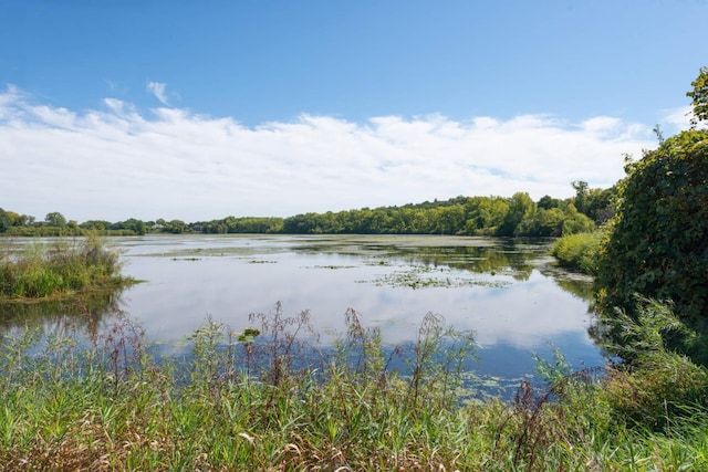 8040 Lea Rd, Bloomington, MN 55438 - water view with a forest
