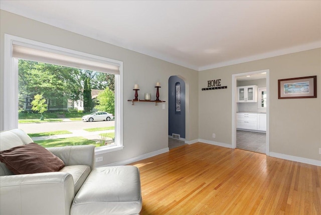 1331 Scheffer Ave, Saint Paul, MN 55116 - living room featuring arched walkways and light wood-style flooring