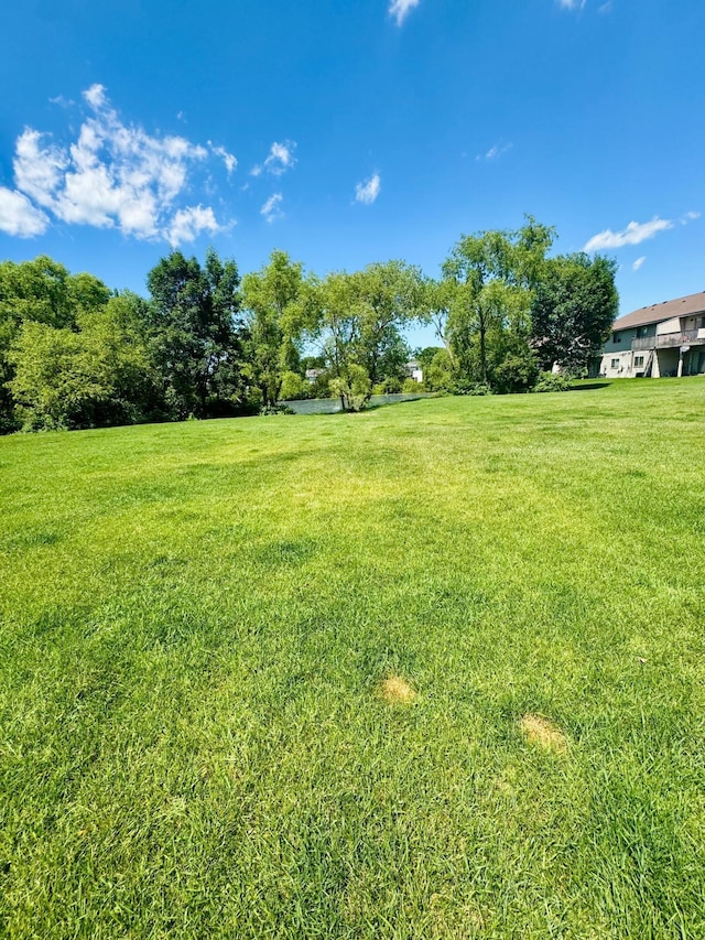 940 14th Ln SE, Cambridge, MN 55008 - view of grassy yard