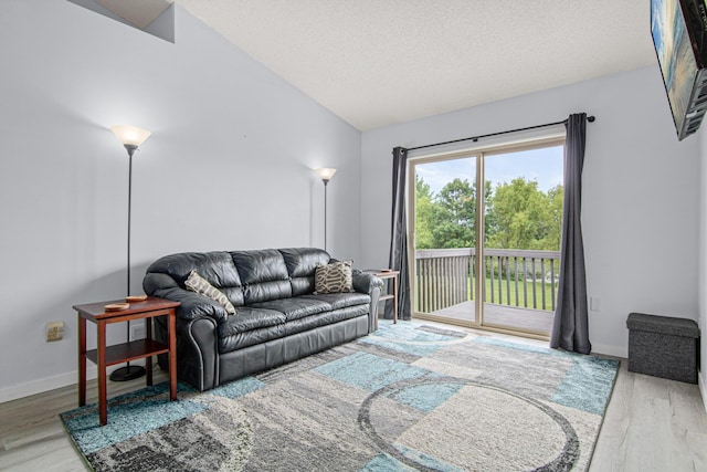 940 14th Ln SE, Cambridge, MN 55008 - living area featuring lofted ceiling, wood finished floors, and a textured ceiling
