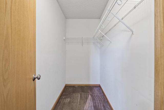 30354 118th St, Baldwin Twp, MN 55371 - spacious closet featuring carpet flooring