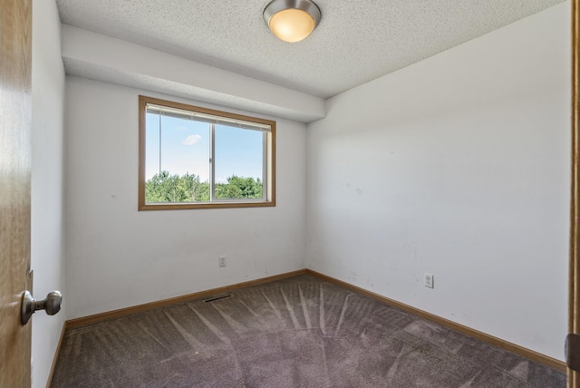30354 118th St, Baldwin Twp, MN 55371 - unfurnished room featuring carpet and a textured ceiling