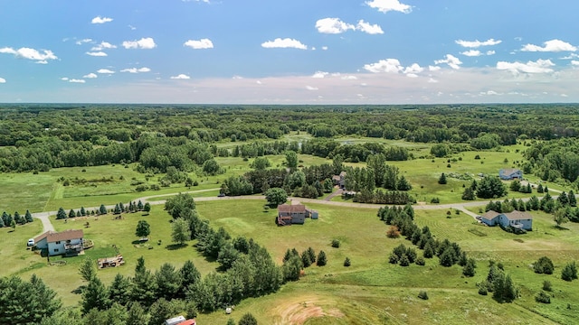 30354 118th St, Baldwin Twp, MN 55371 - view of rural area featuring a forest