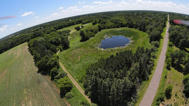 28945 120th St, Baldwin Twp, MN 55371