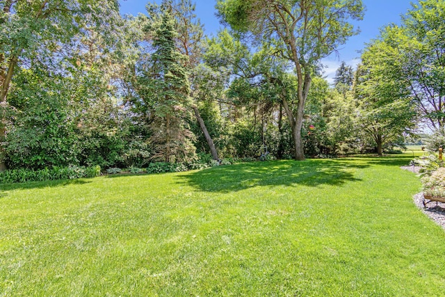 3599 210th St E, Vermillion Twp, MN 55024 - view of grassy yard