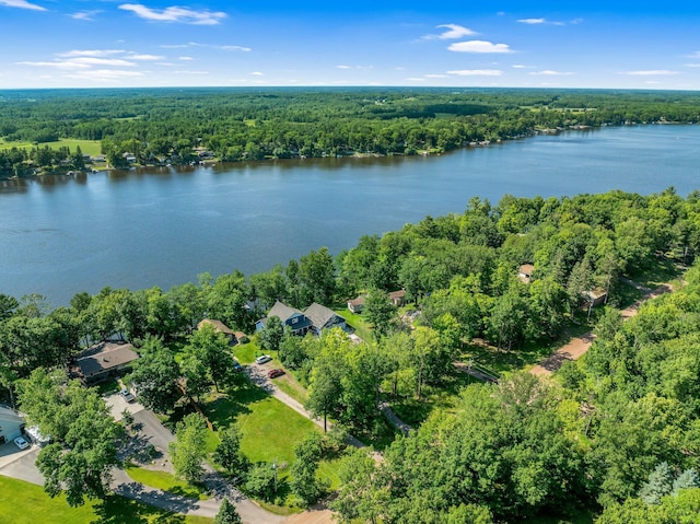 18465 Lake Ln, Chengwatana Twp, MN 55063 - aerial overview of property's location featuring a forest and a large body of water