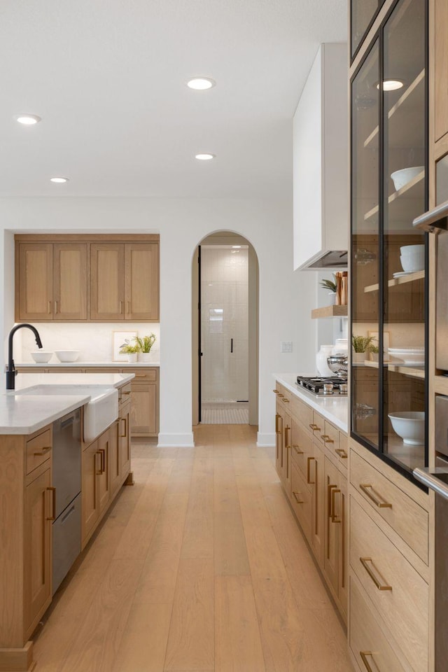 5250 Polaris Ln N, Plymouth, MN 55446 - kitchen with arched walkways, appliances with stainless steel finishes, recessed lighting, light wood-style floors, and light countertops