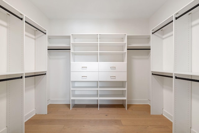 5250 Polaris Ln N, Plymouth, MN 55446 - walk in closet with light wood-style flooring